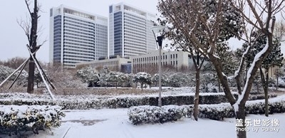 雪后更美