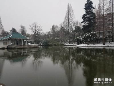 雪中的水面