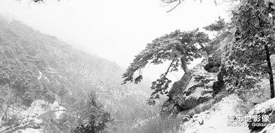 雪中泰山