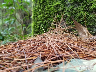 登山小记