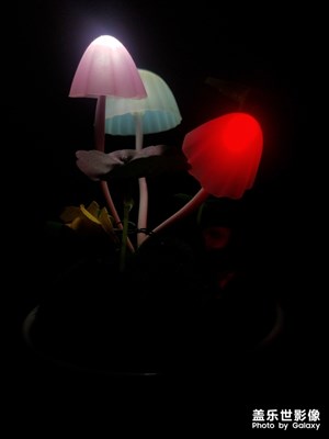 变色的小夜灯……