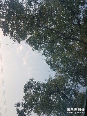 那片天空
