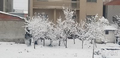 家乡的雪