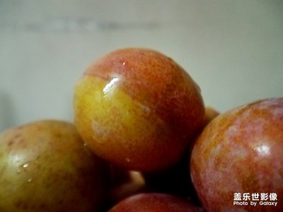 西梅