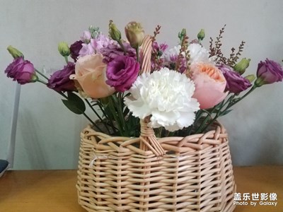 祝女性坛友节日快乐！