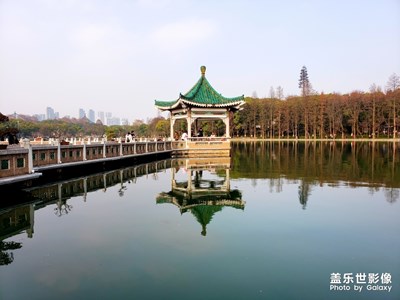 业余爱好，请多多指教。