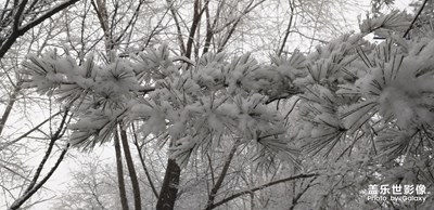 随拍雪景