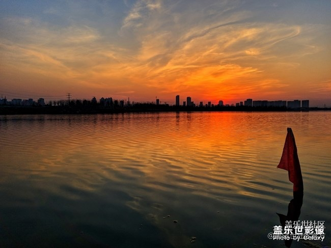 【每周精帖汇137】总裁也来参与Galaxy S10首销活动啦