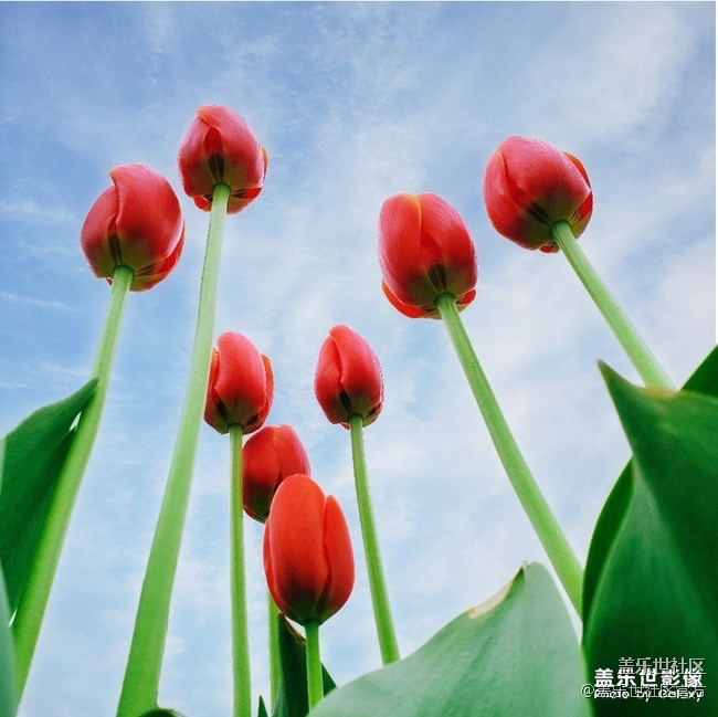 【每周精帖汇137】总裁也来参与Galaxy S10首销活动啦