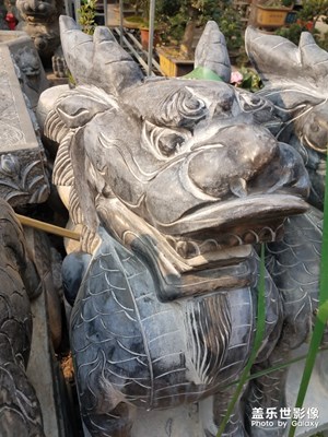 麒麟？貔貅？