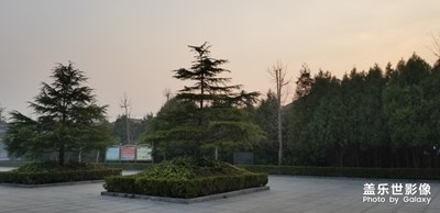 公园随手拍