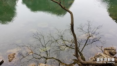 你们遇到好看的照片难道不想保存下来吗