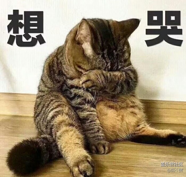 盖乐世社区没有客服吗？