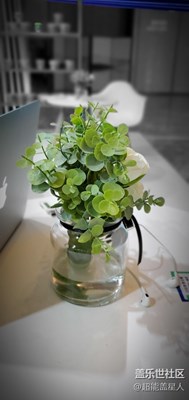 来试试s10的实时虚化效果