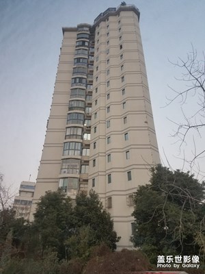 楼