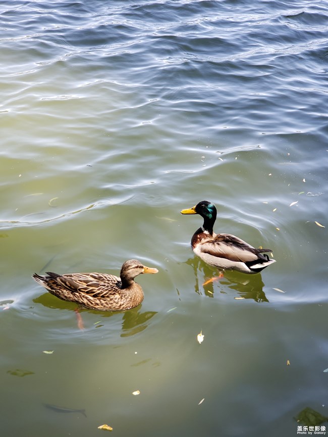 成长篇——自由天地（三）。