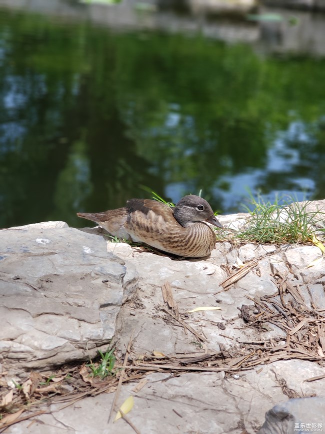 成长篇——自由天地（三）。