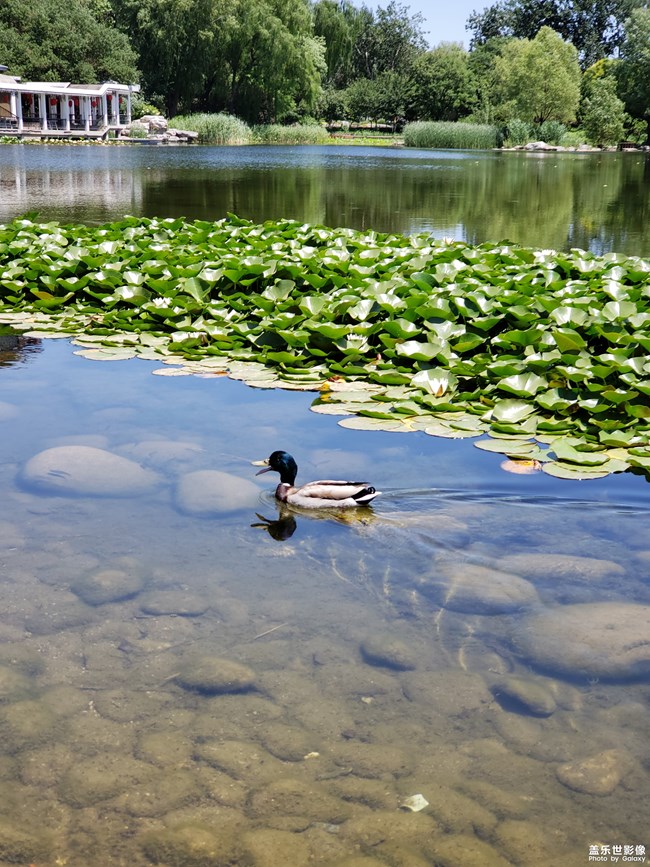 成长篇——自由天地（三）。
