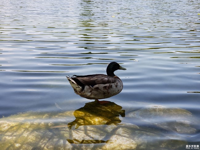 成长篇——自由天地（三）。