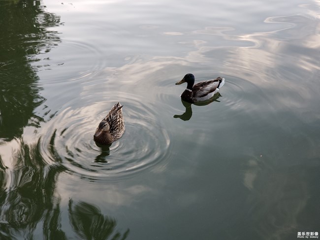 成长篇——自由天地（三）。