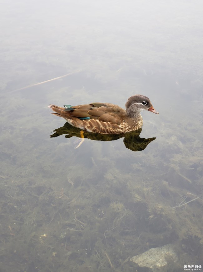 成长篇——自由天地（三）。