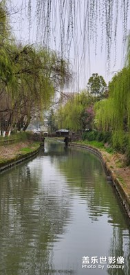 春天无限美