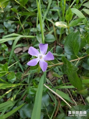 春暖花开