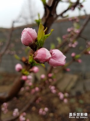 【踏青】+春暖花会开！