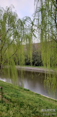 春风扬柳万千条