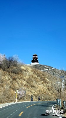 定都阁