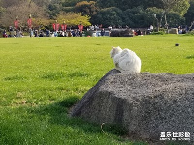 【踏春】+春日长晓风香