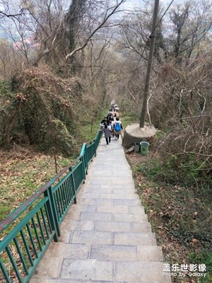 山梯
