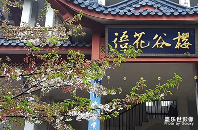 花开花落