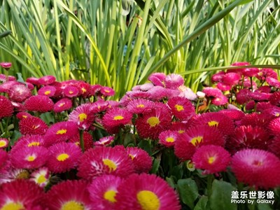 公园一角