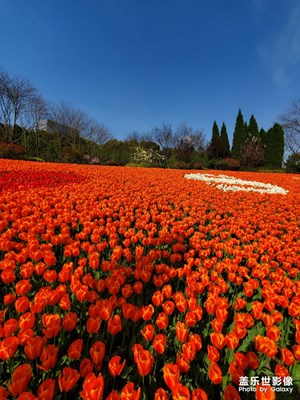 春色随拍