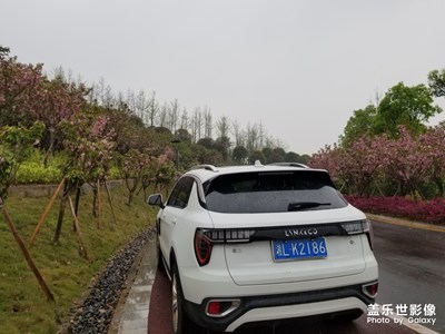 随便拍拍，看书