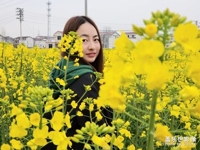 西安 油菜花季