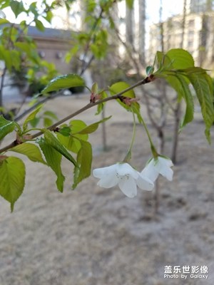 【四月你好】+ 春暖花开