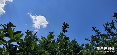 S10+直出