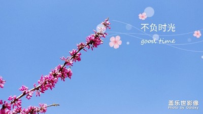 不负春光