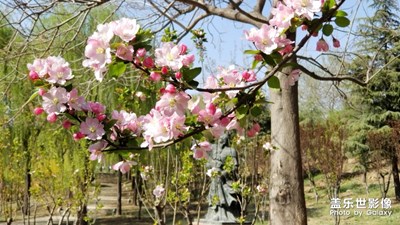 校园春色