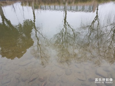 倒影