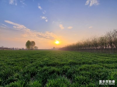 【四月你好】夕阳遇见麦田