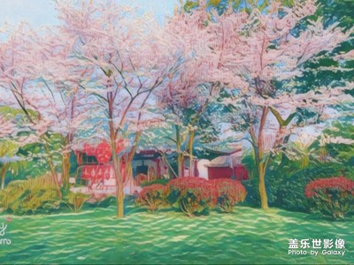 四月天