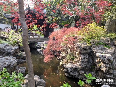 上海 豫园 游玩二