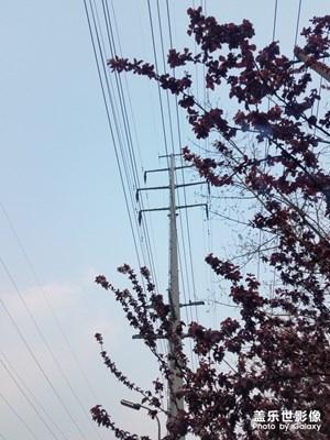 路边电杆