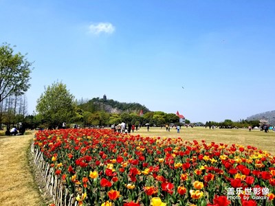 【四月你好】+辰山植物园