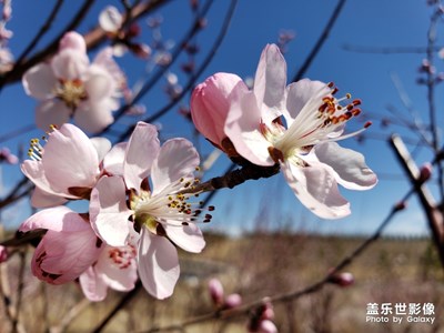 【四月你好】+花开香溢