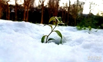 16年初雪