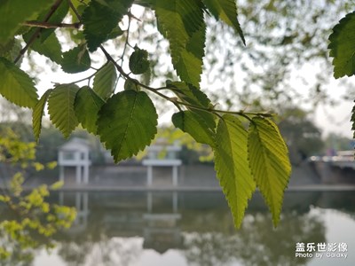 各角度、焦点的河边“别墅”